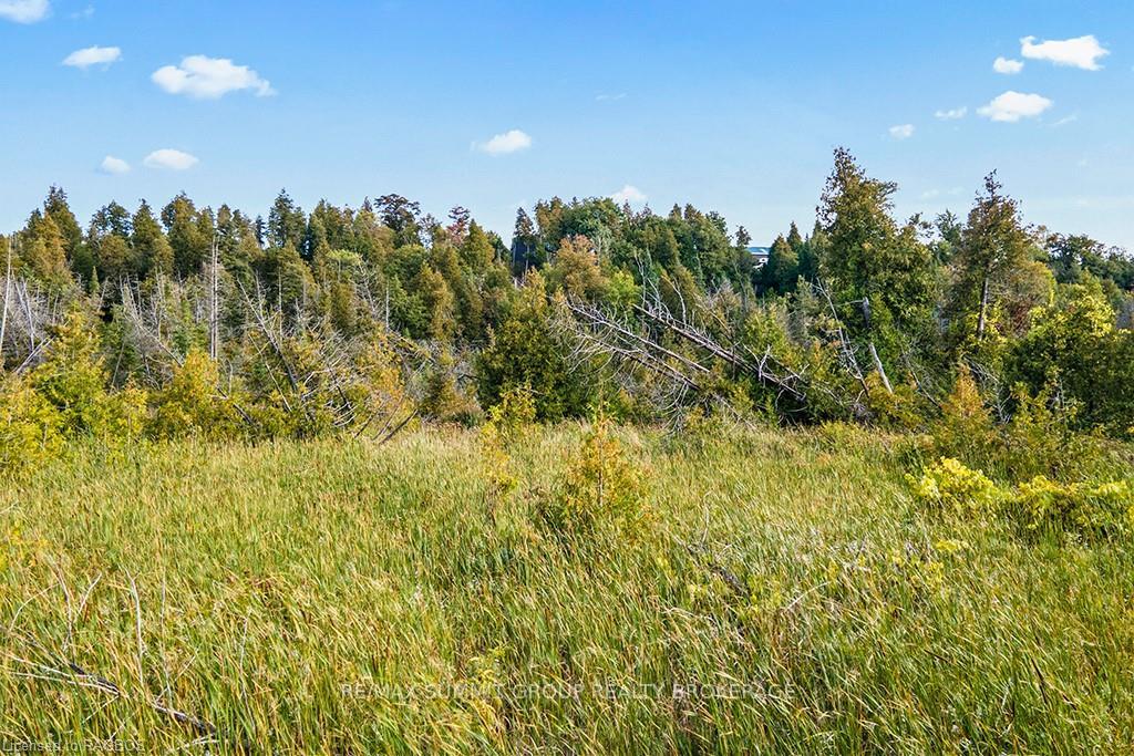 Photo 7 of PT LT 20 Sideroad 40, West Grey — HOMEH