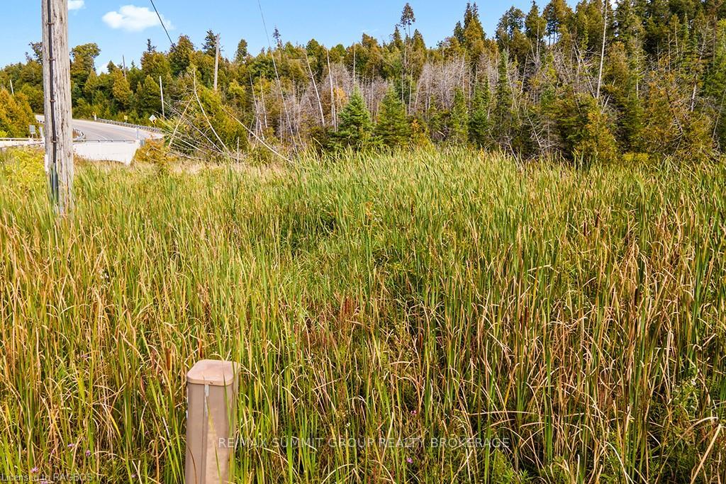 Photo 17 of PT LT 20 Sideroad 40, West Grey — HOMEH