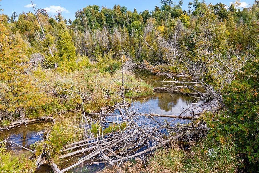 Photo 18 of PT LT 20 Sideroad 40, West Grey — HOMEH