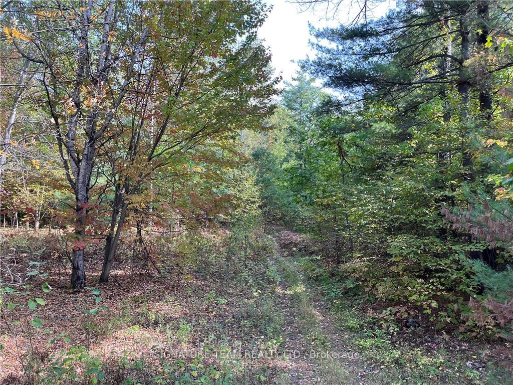 Photo 1 of Constant Lake Road, Bonnechere Valley, Eganville/Bonnechere Twp — HOMEH