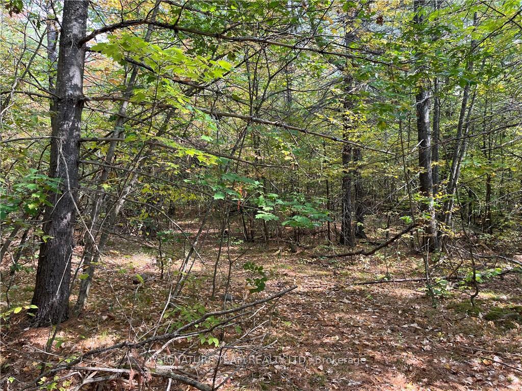 Photo 3 of Constant Lake Road, Bonnechere Valley, Eganville/Bonnechere Twp — HOMEH