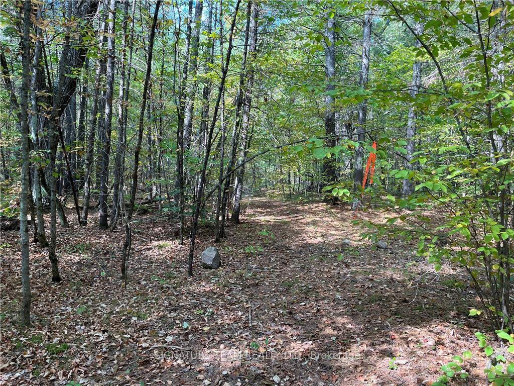 Photo 2 of Constant Lake Road, Bonnechere Valley, Eganville/Bonnechere Twp — HOMEH