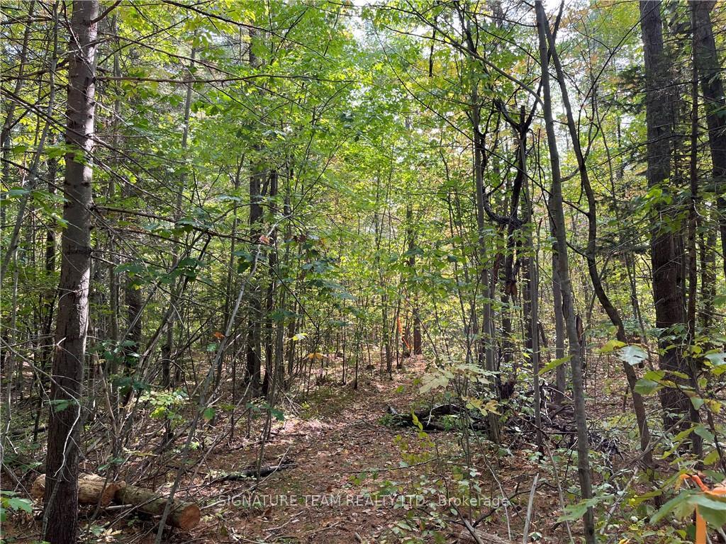 Photo 4 of Constant Lake Road, Bonnechere Valley, Eganville/Bonnechere Twp — HOMEH