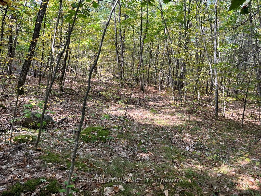 Photo 14 of Constant Lake Road, Bonnechere Valley, Eganville/Bonnechere Twp — HOMEH