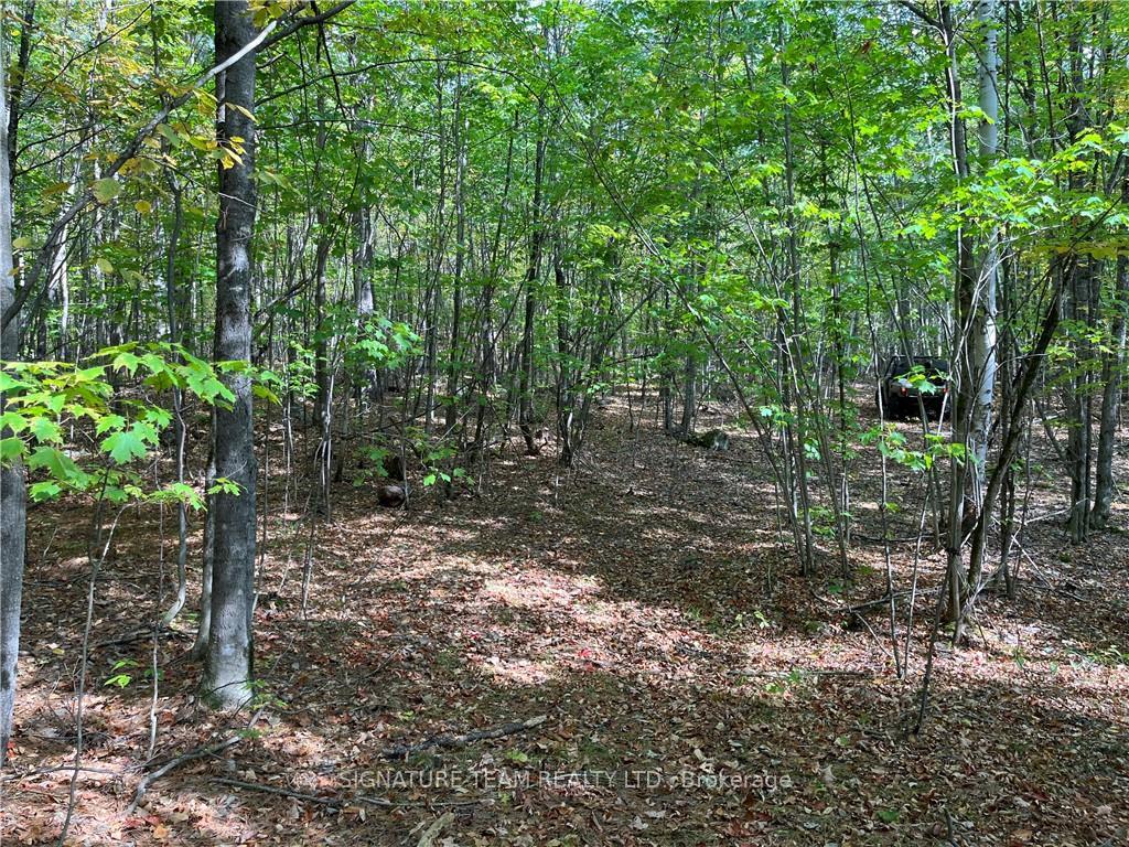 Photo 7 of Constant Lake Road, Bonnechere Valley, Eganville/Bonnechere Twp — HOMEH