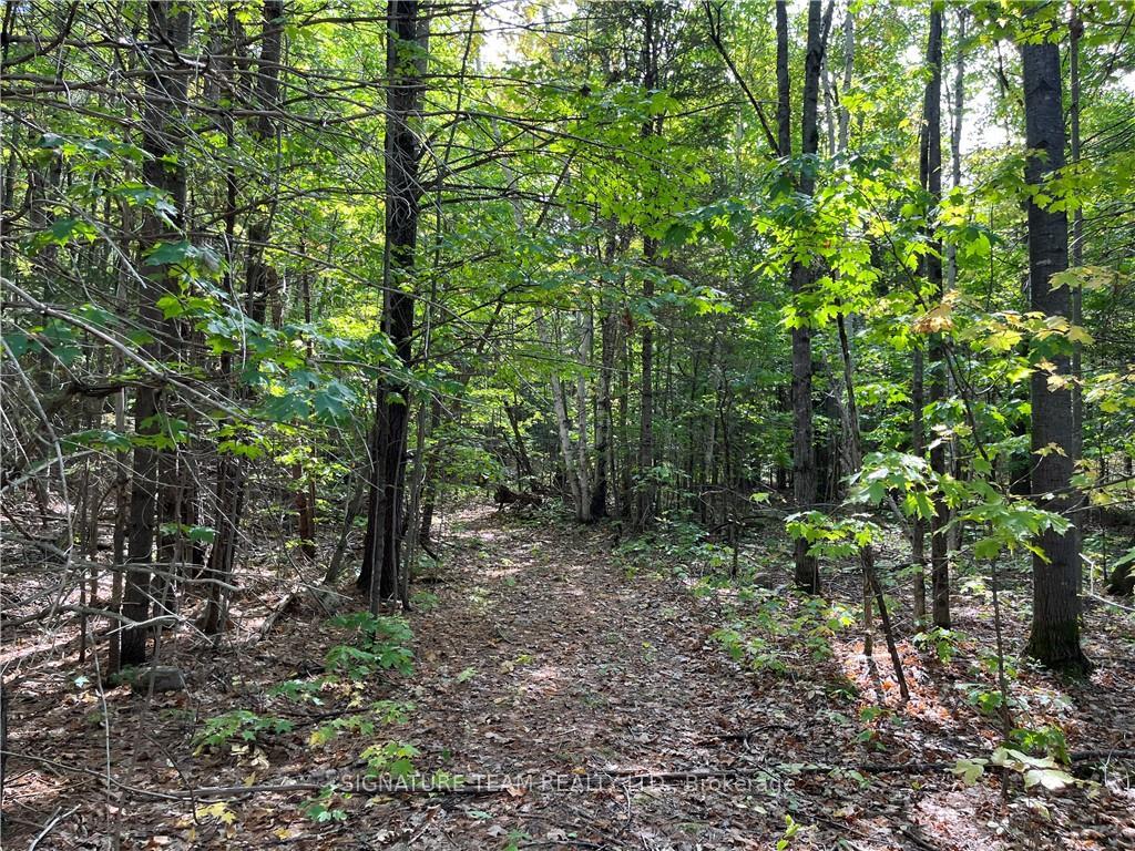 Photo 8 of Constant Lake Road, Bonnechere Valley, Eganville/Bonnechere Twp — HOMEH