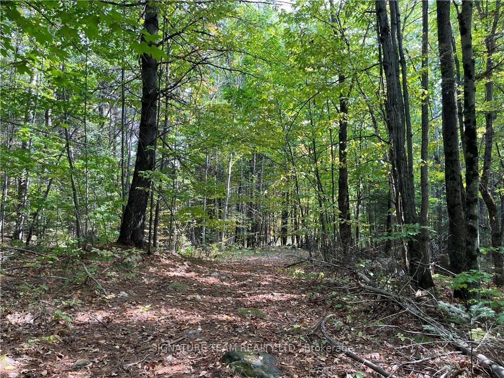 Photo 5 of Constant Lake Road, Bonnechere Valley, Eganville/Bonnechere Twp — HOMEH