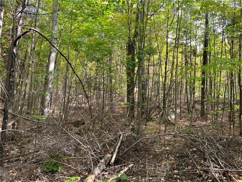 Photo 13 of Constant Lake Road, Bonnechere Valley, Eganville/Bonnechere Twp — HOMEH