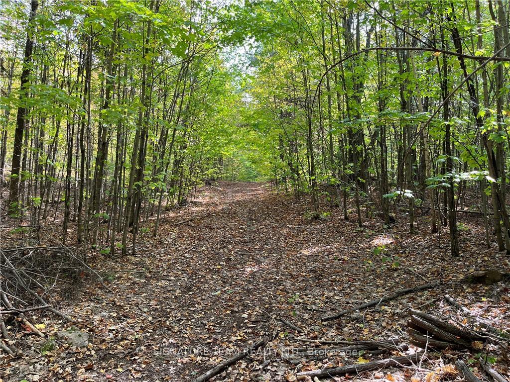 Photo 10 of Constant Lake Road, Bonnechere Valley, Eganville/Bonnechere Twp — HOMEH
