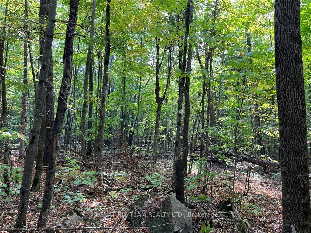 Photo 18 of Constant Lake Road, Bonnechere Valley, Eganville/Bonnechere Twp — HOMEH