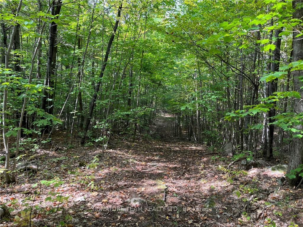 Photo 16 of Constant Lake Road, Bonnechere Valley, Eganville/Bonnechere Twp — HOMEH