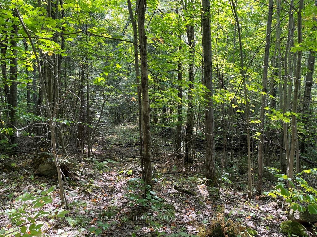 Photo 20 of Constant Lake Road, Bonnechere Valley, Eganville/Bonnechere Twp — HOMEH