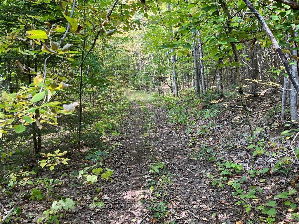 Photo 19 of Constant Lake Road, Bonnechere Valley, Eganville/Bonnechere Twp — HOMEH