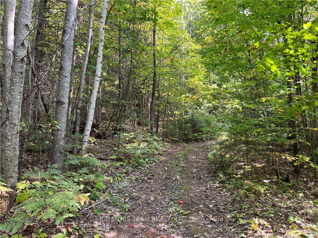 Photo 15 of Constant Lake Road, Bonnechere Valley, Eganville/Bonnechere Twp — HOMEH