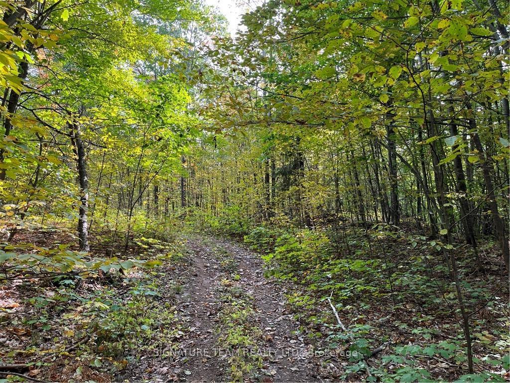 Photo 17 of Constant Lake Road, Bonnechere Valley, Eganville/Bonnechere Twp — HOMEH