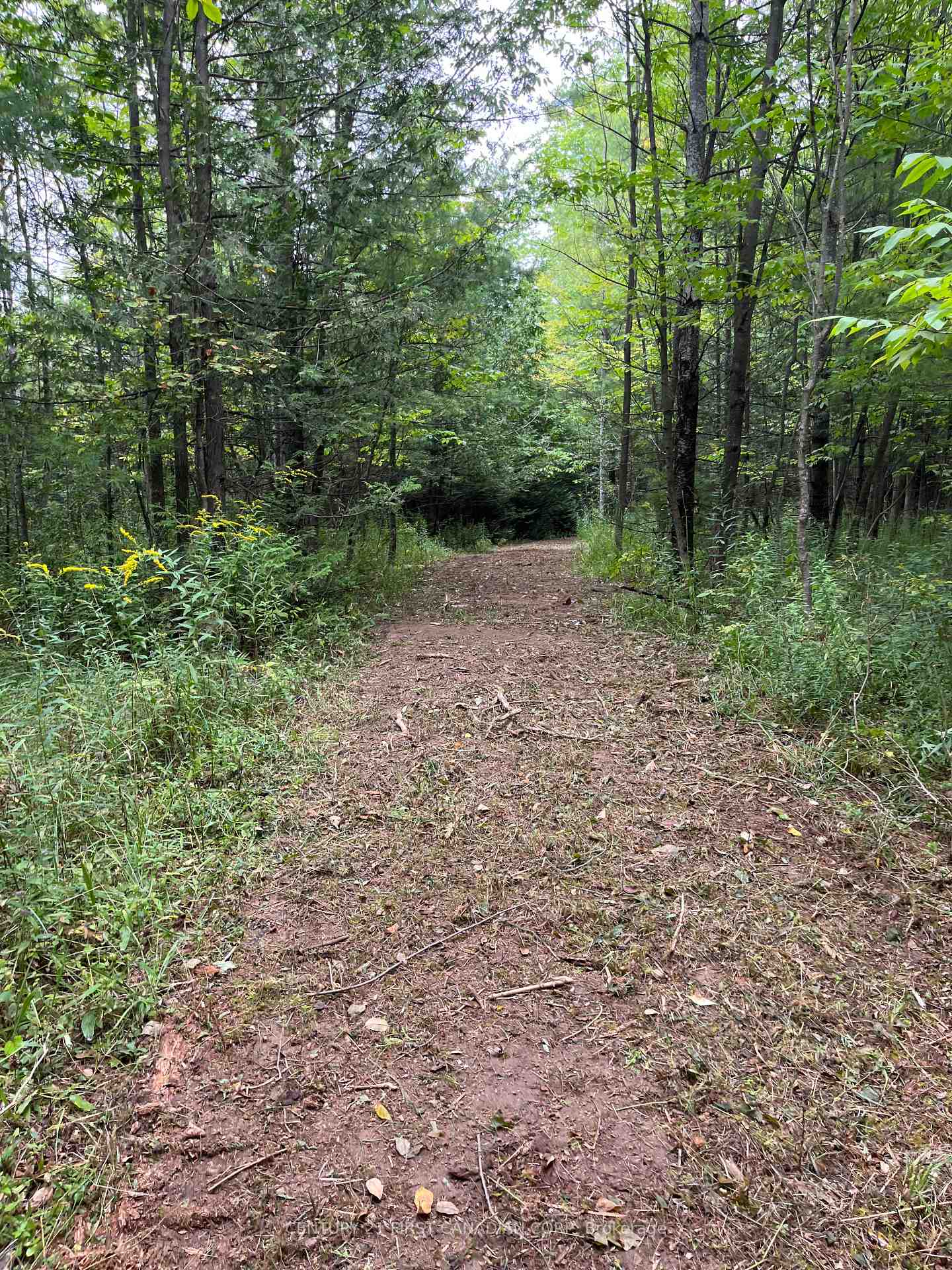 Photo 4 of LOT 10 10th SIDEROAD NDR, West Grey — HOMEH