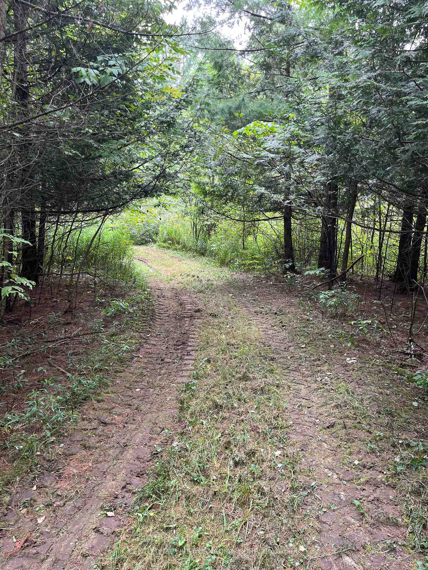 Photo 8 of LOT 10 10th SIDEROAD NDR, West Grey — HOMEH