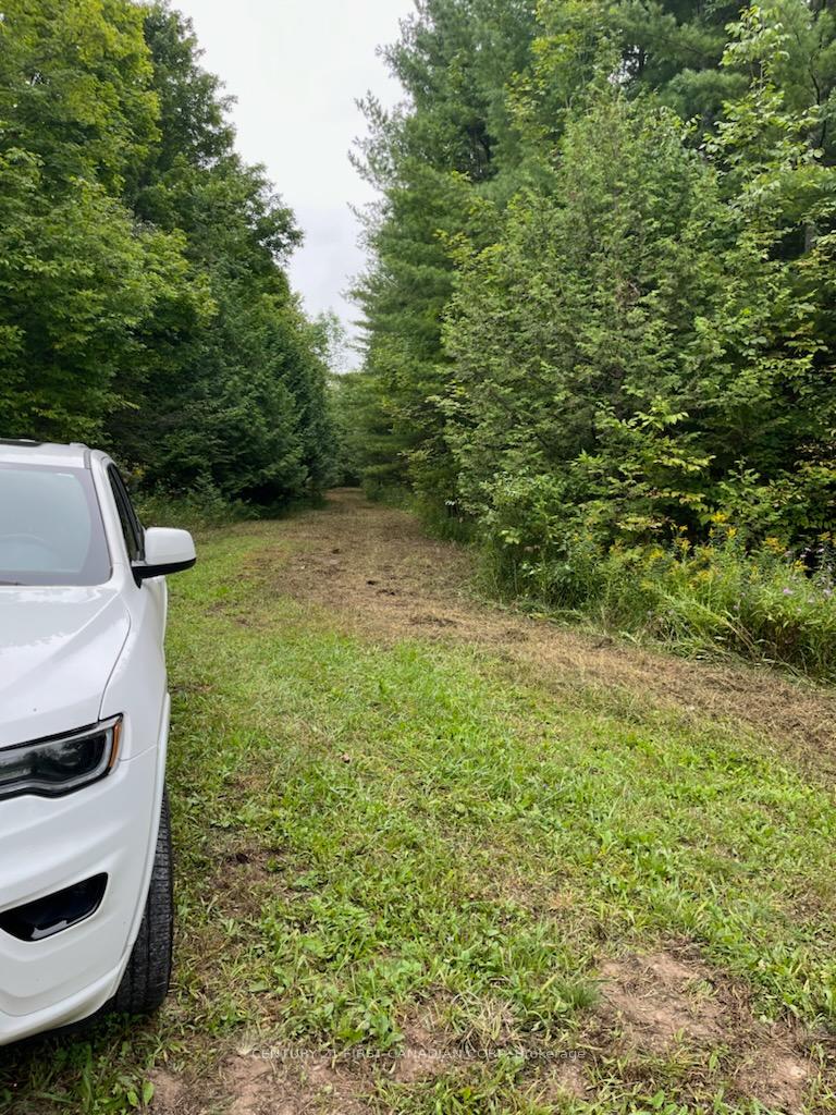 Photo 12 of LOT 10 10th SIDEROAD NDR, West Grey — HOMEH