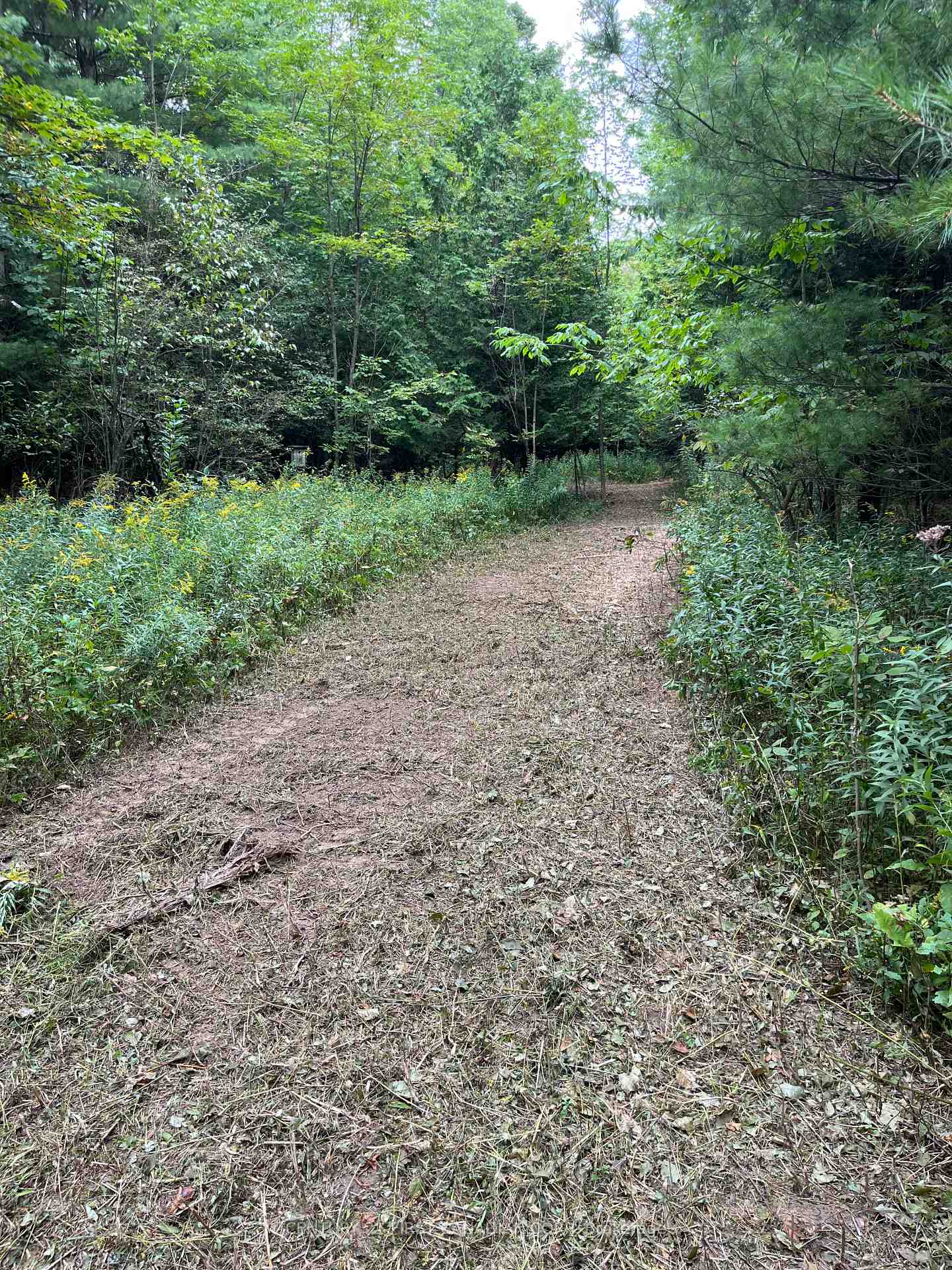 Photo 19 of LOT 10 10th SIDEROAD NDR, West Grey — HOMEH