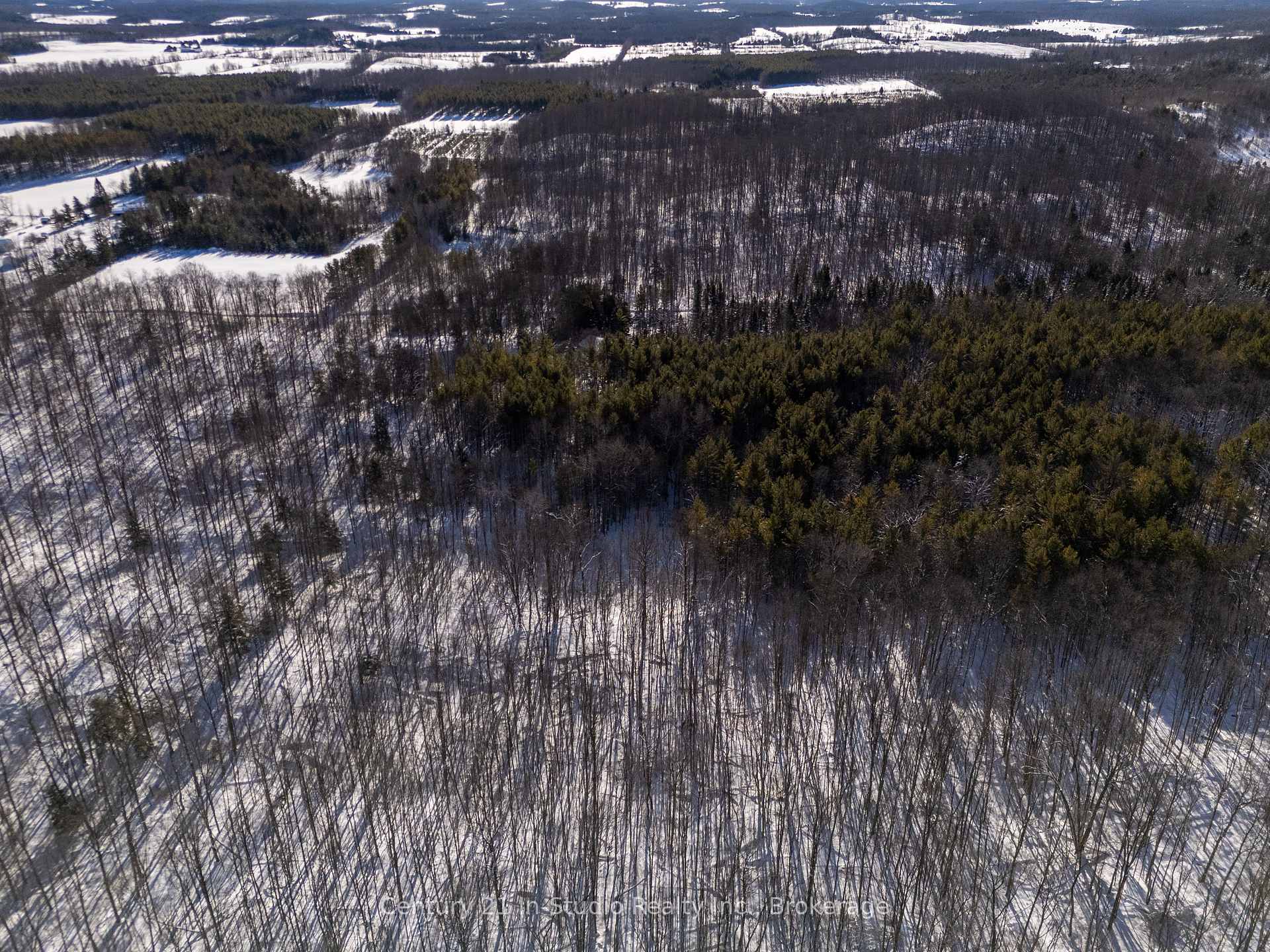 Photo 5 of 542283 Concession 14 Ndr, West Grey — HOMEH