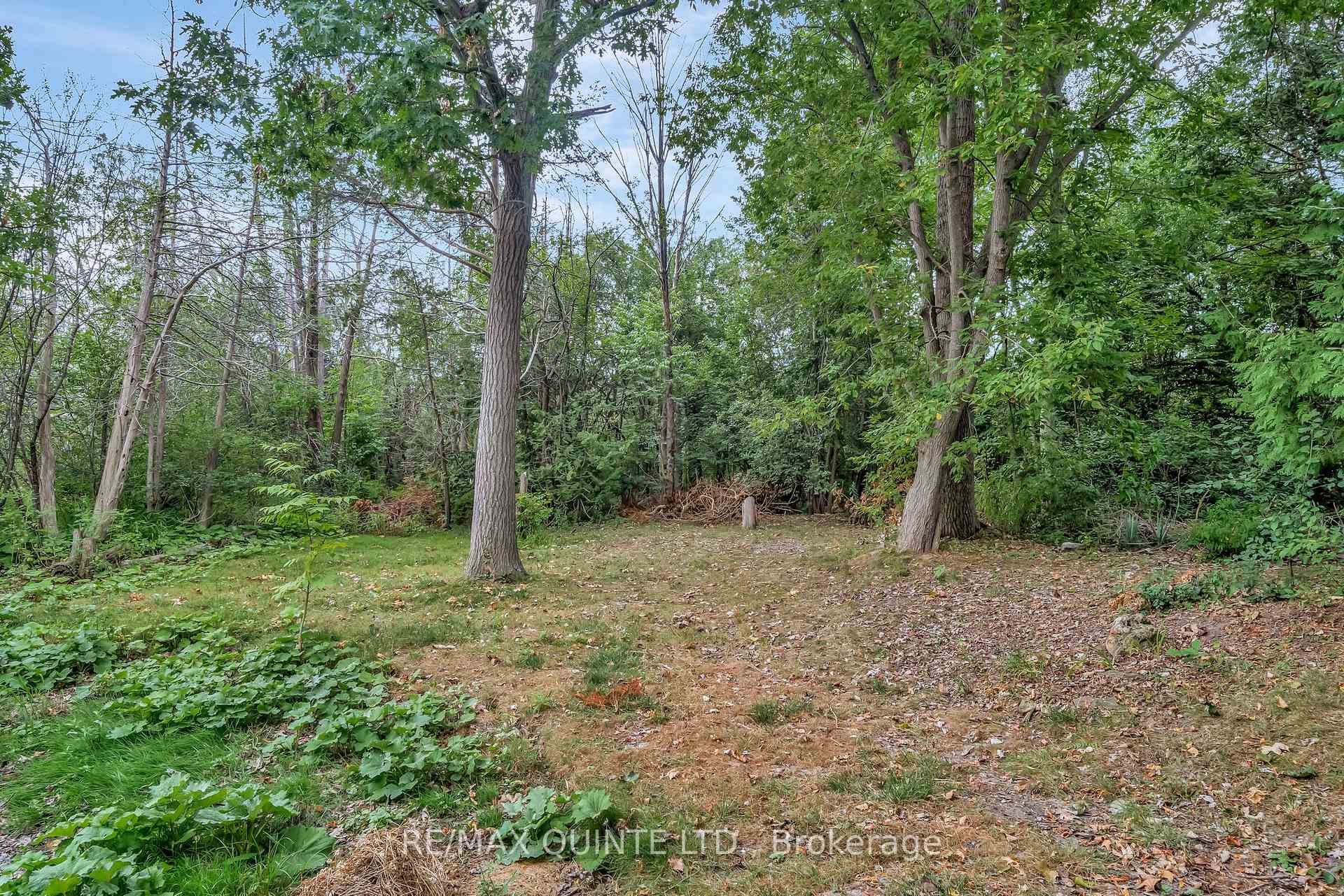 Photo 41 of 59 Oak Ridge Boulevard, Belleville, Belleville Ward — HOMEH