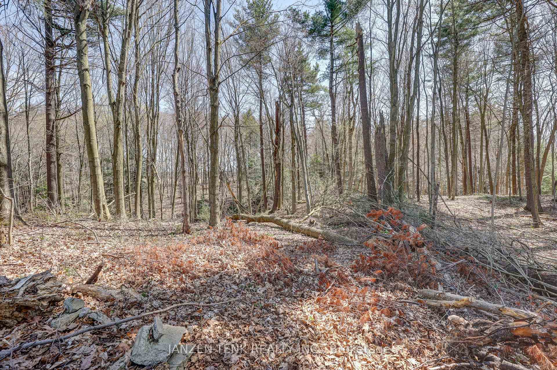 Photo 35 of 56729 Eden Line, Bayham, Eden — HOMEH