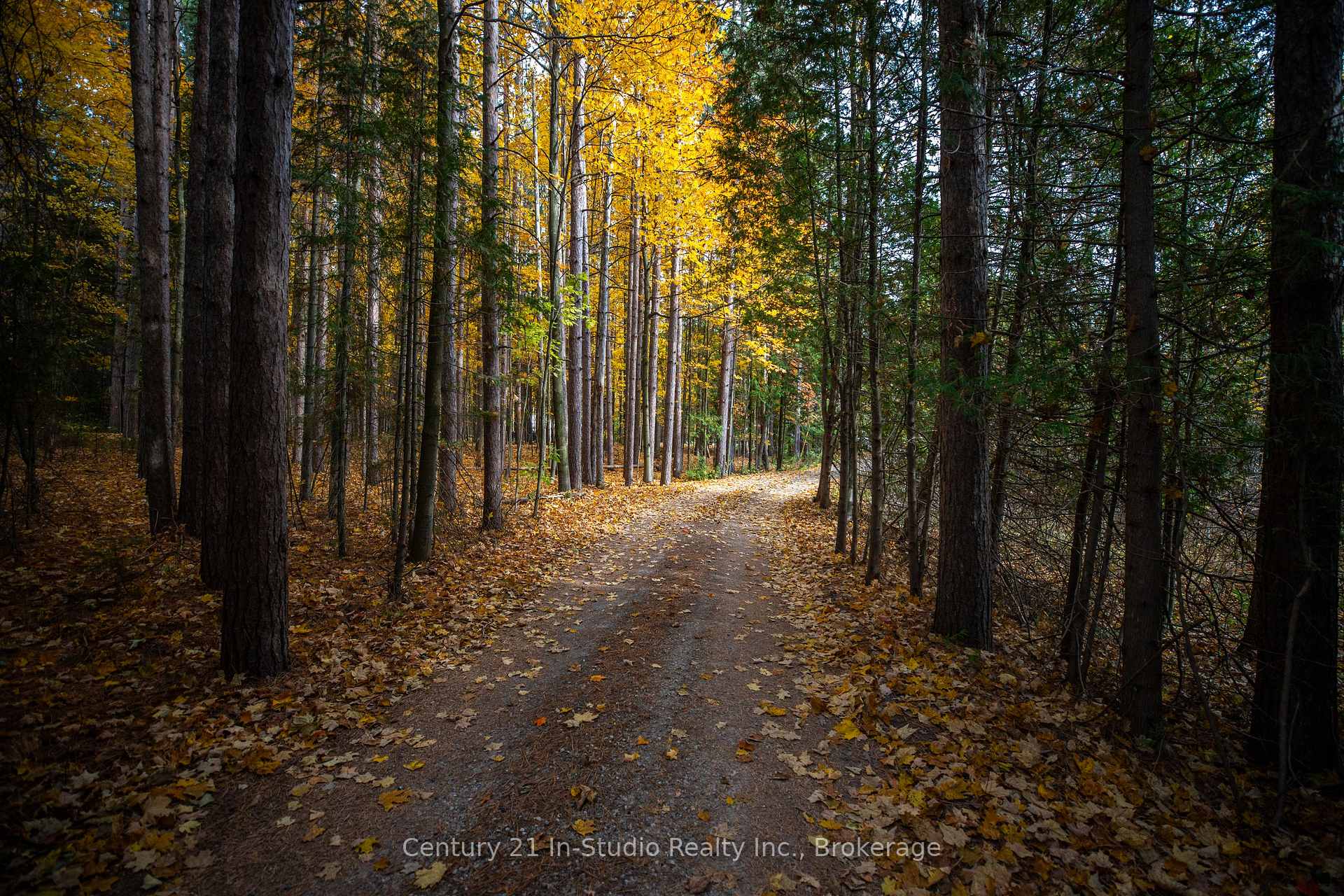 Photo 9 of 574251 Sideroad 40, West Grey — HOMEH