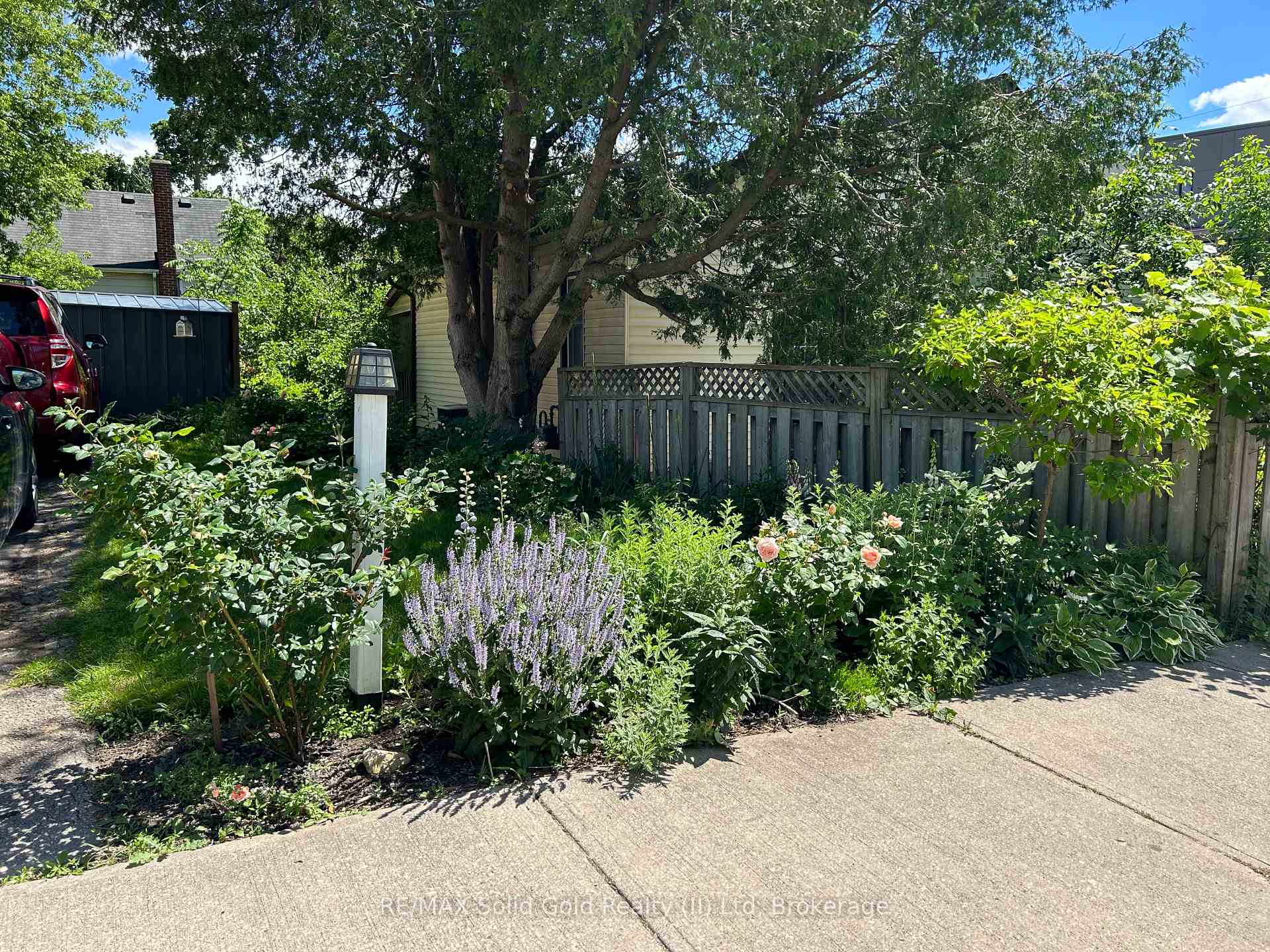 Photo 33 of 129 A Graham Street, Waterloo — HOMEH