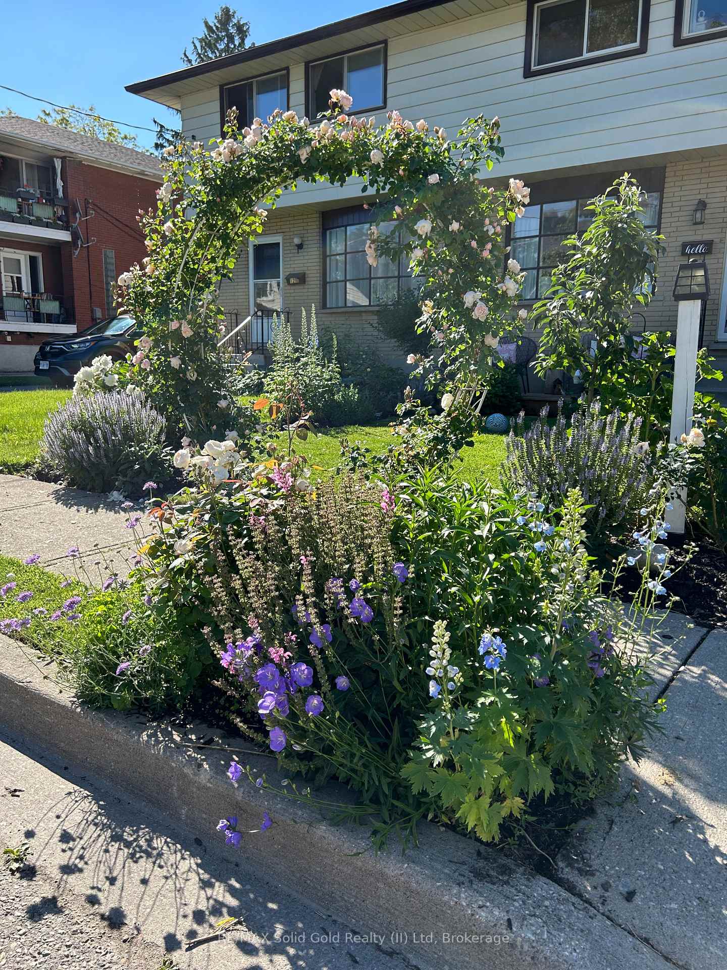 Photo 34 of 129 A Graham Street, Waterloo — HOMEH