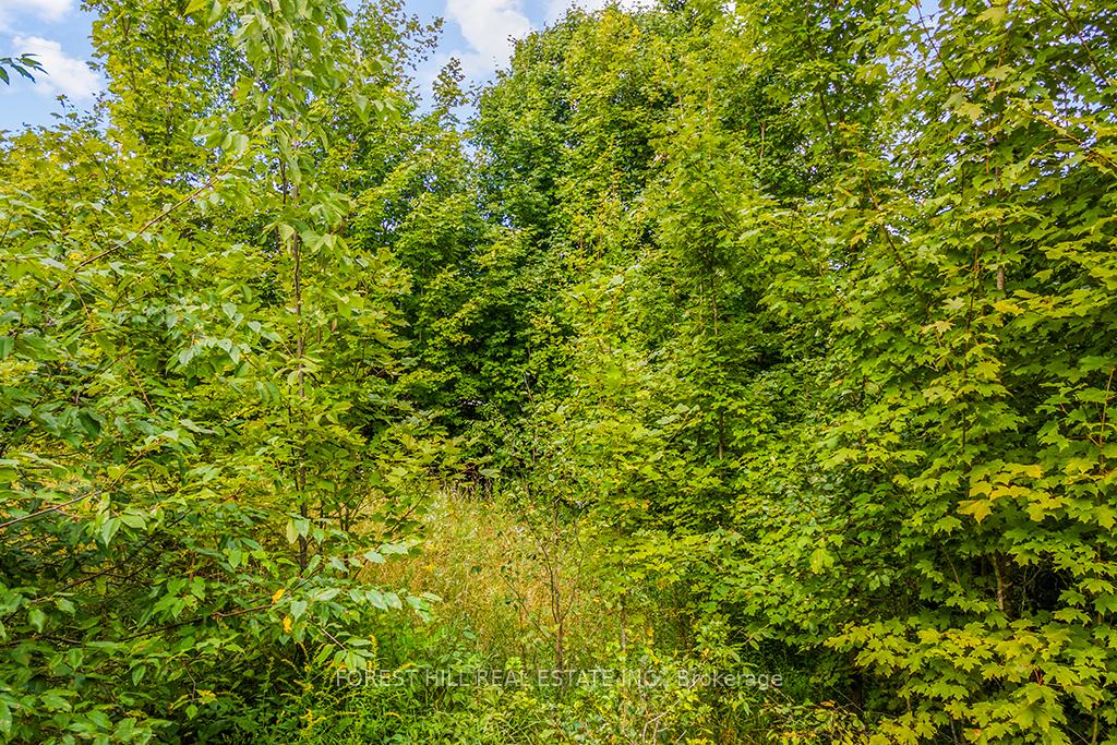 Photo 14 of 000 Highland Drive, West Grey — HOMEH