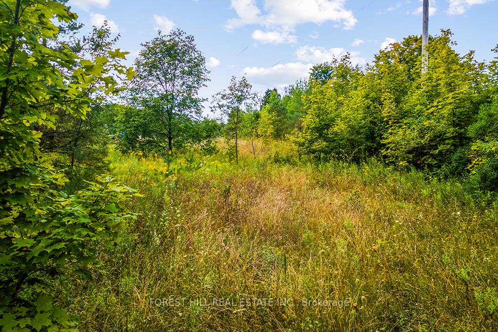 Photo 15 of 000 Highland Drive, West Grey — HOMEH