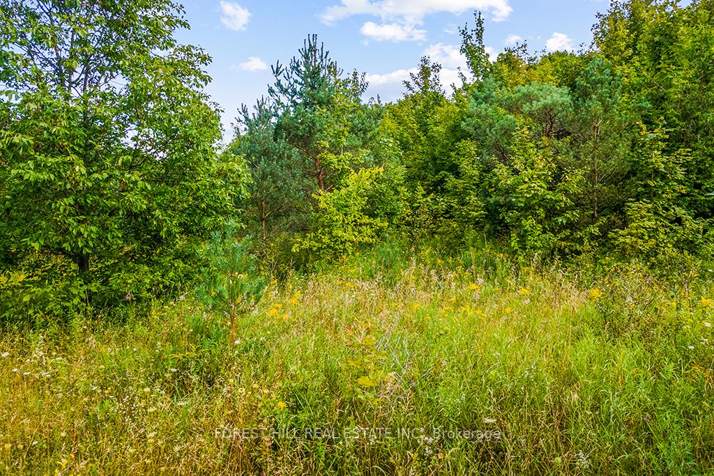 Photo 16 of 000 Highland Drive, West Grey — HOMEH
