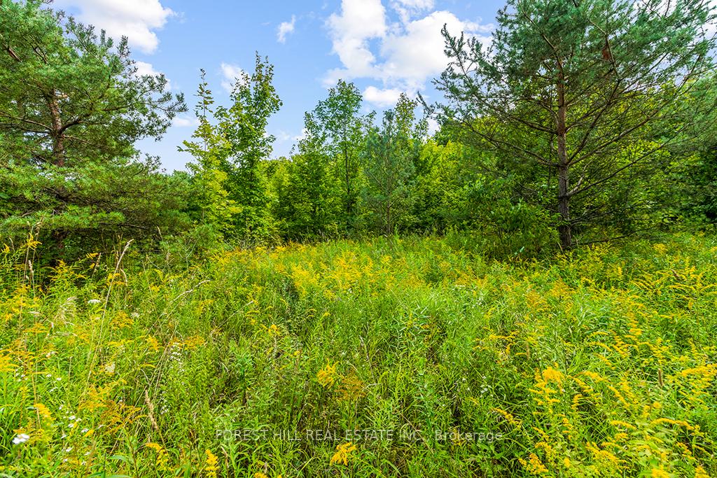 Photo 18 of 000 Highland Drive, West Grey — HOMEH