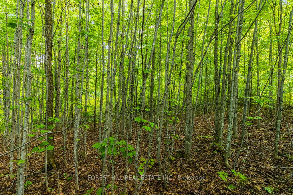 Photo 20 of 000 Highland Drive, West Grey — HOMEH