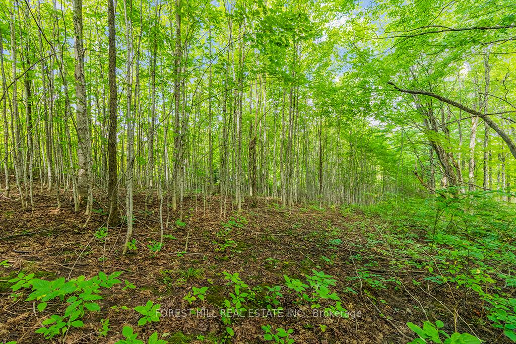 Photo 22 of 000 Highland Drive, West Grey — HOMEH