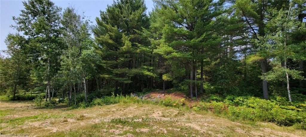 Photo 7 of 21 Deer Lake Road, West Nipissing, Verner — HOMEH