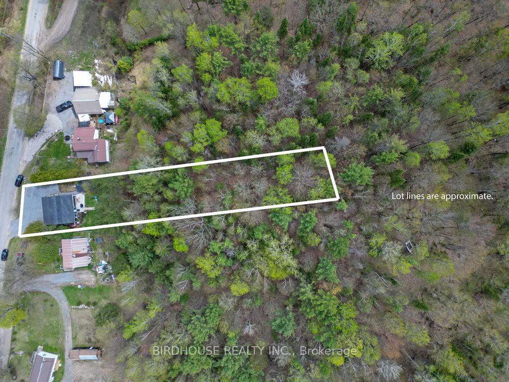 Photo 6 of 62 Gaebel Road, Bancroft, Bancroft Ward — HOMEH