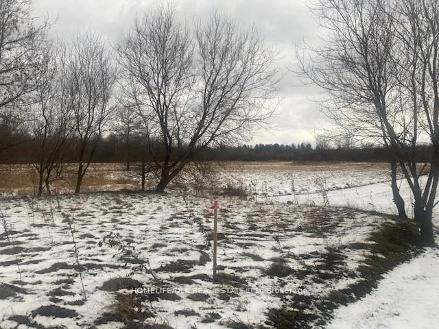 Photo 7 of 8875 Cty Rd 15, Augusta, Augusta Twp — HOMEH