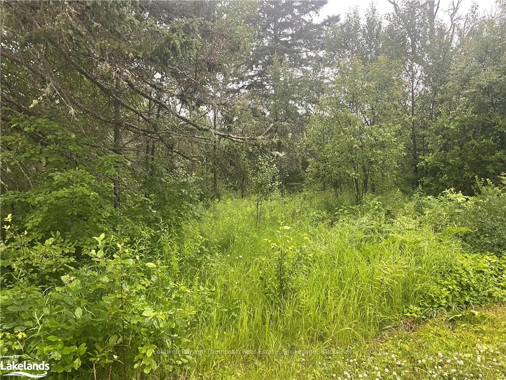 Photo 1 of Garage Road, Armour — HOMEH