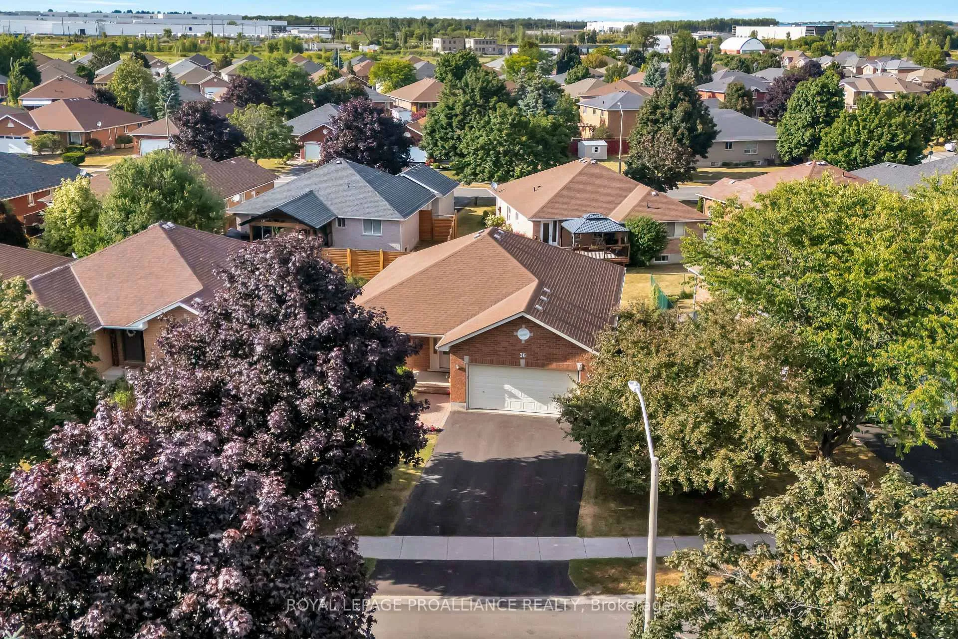 Photo 45 of 36 Oak Ridge Boulevard, Belleville, Belleville Ward — HOMEH