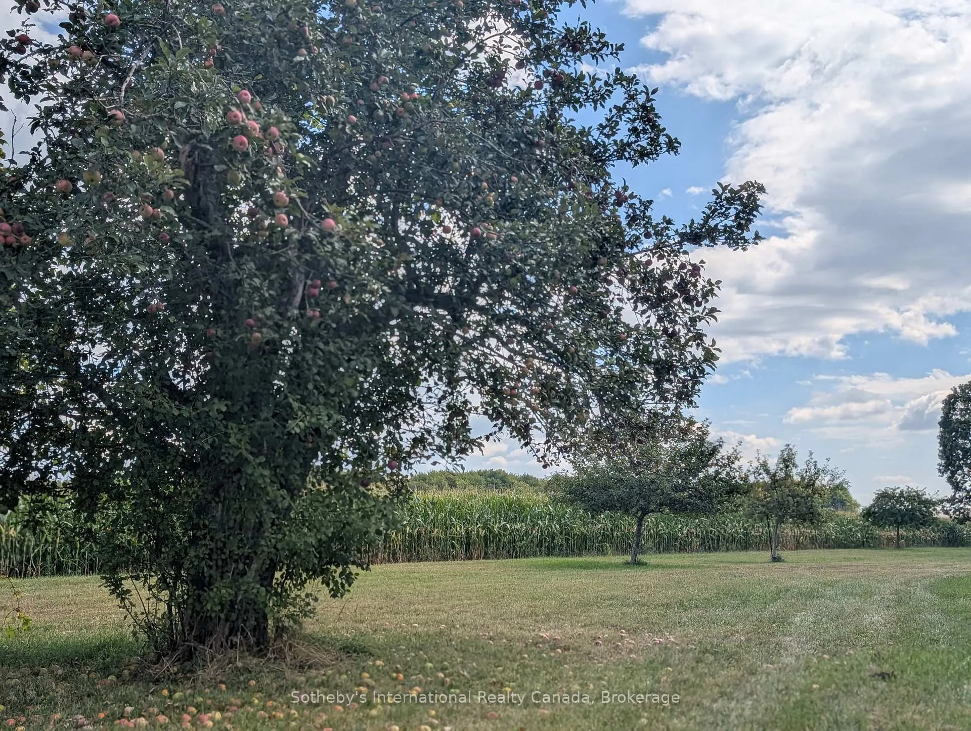 Photo 38 of 1492 Maple Bend Road, Woolwich, Breslau — HOMEH