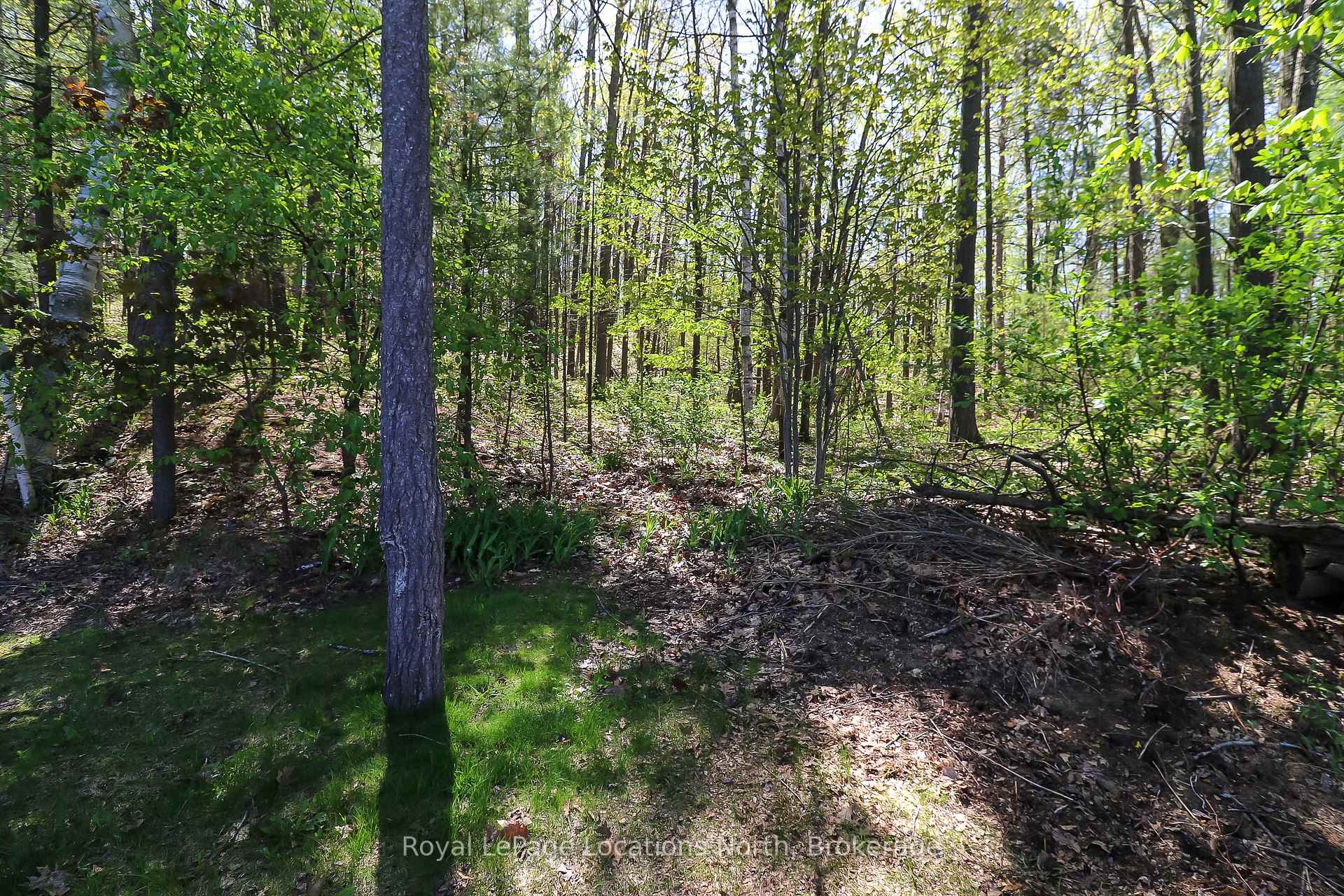 Photo 40 of 60 Leo Boulevard, Wasaga Beach — HOMEH