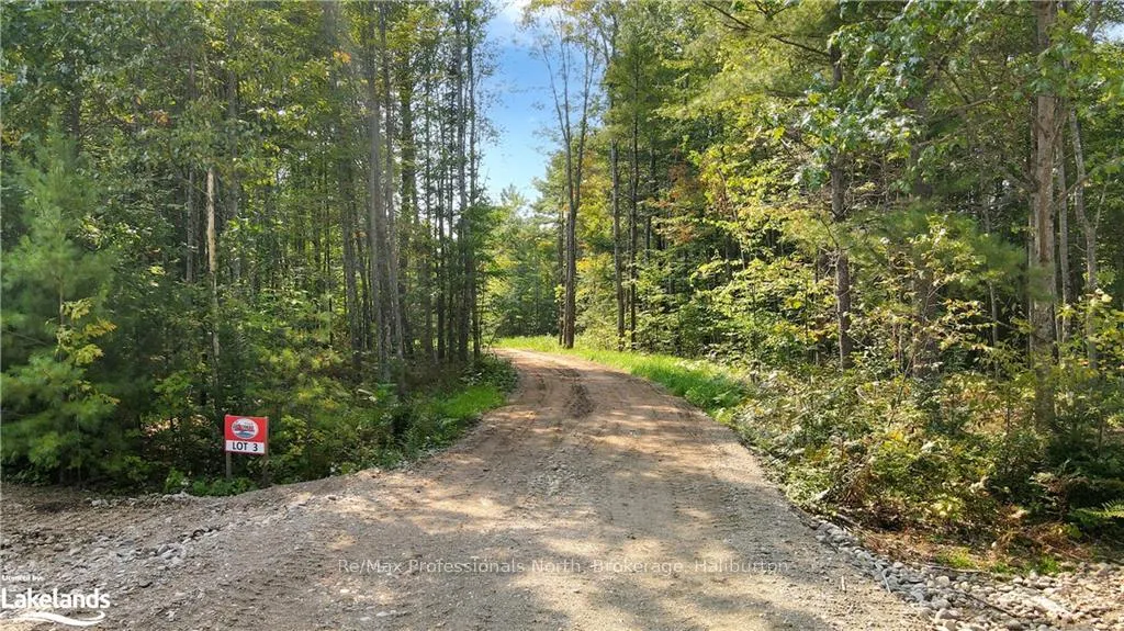 Photo of LOT 2