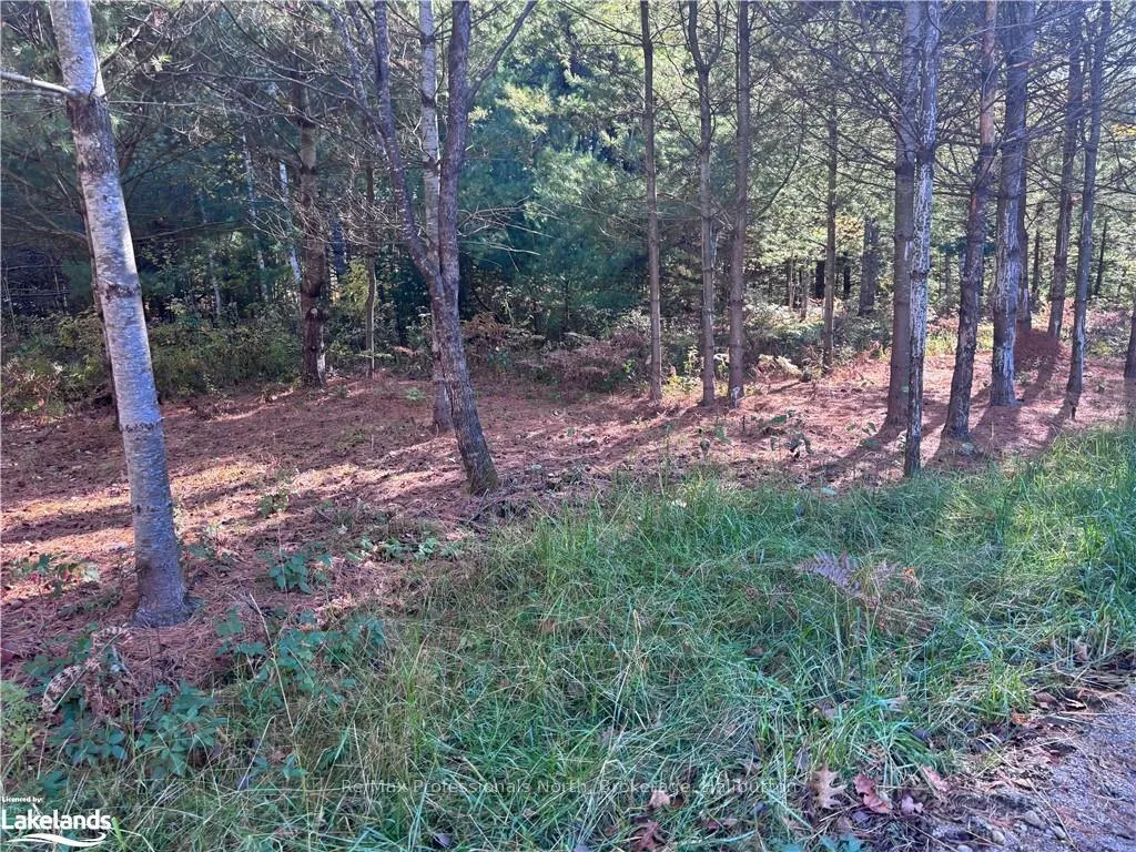 Photo 2 of LOT 2, Algonquin Highlands, Stanhope — HOMEH