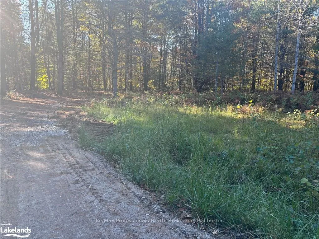 Photo 3 of LOT 2, Algonquin Highlands, Stanhope — HOMEH
