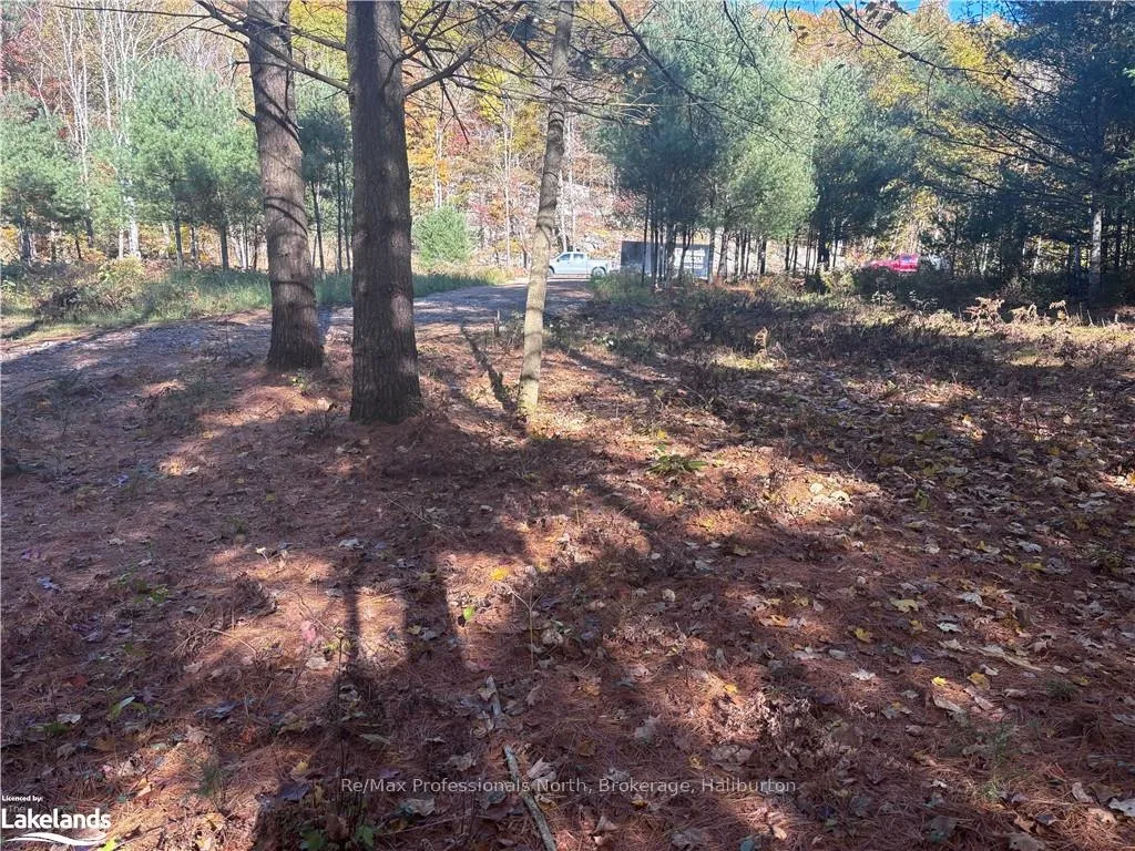 Photo 6 of LOT 2, Algonquin Highlands, Stanhope — HOMEH