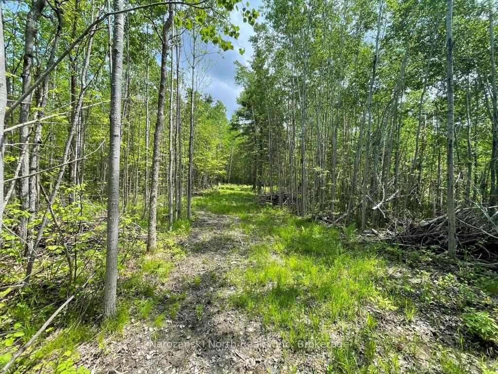 Photo 11 of 66 Trottier Road, West Nipissing, Lavigne — HOMEH