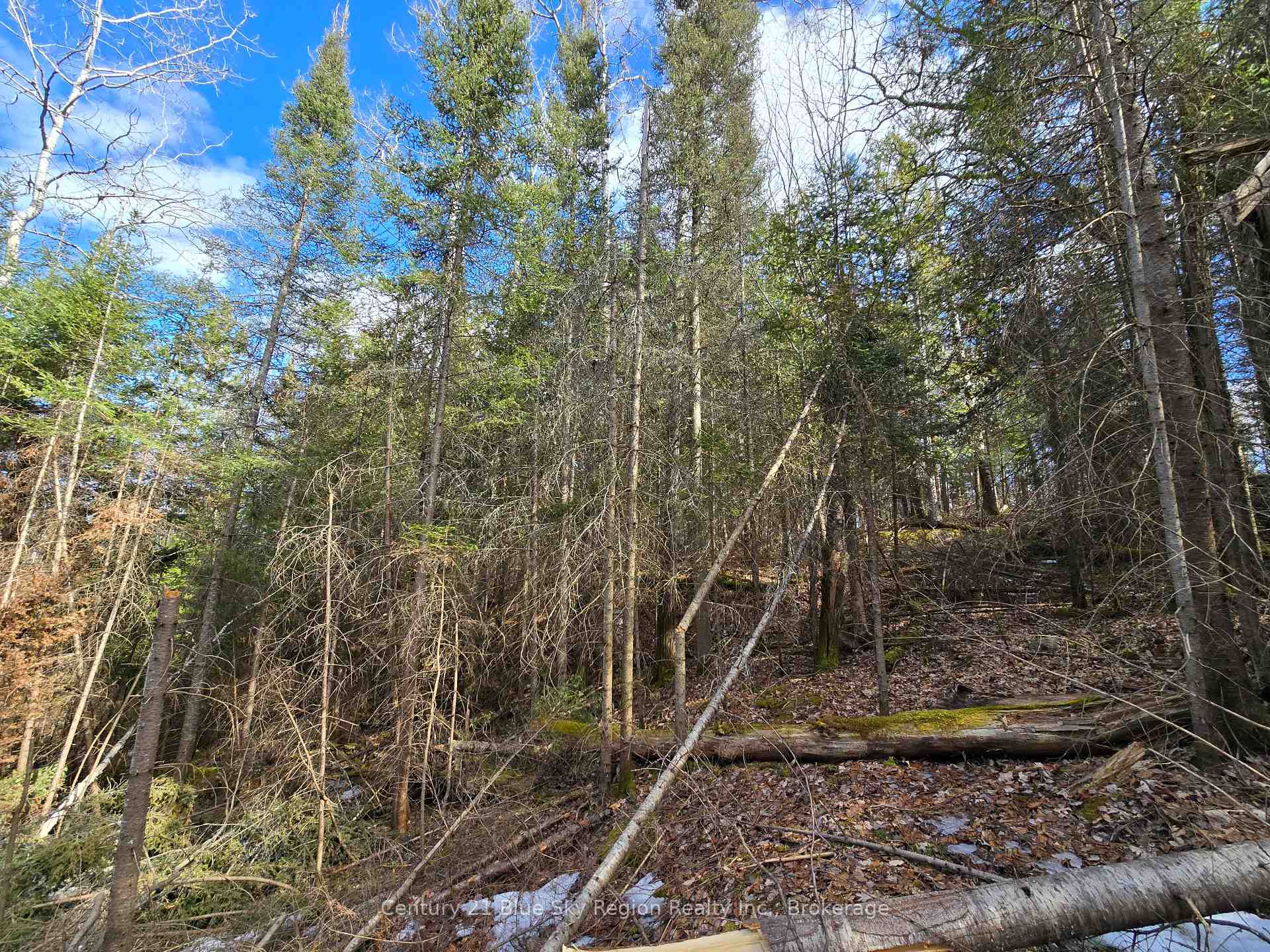 Photo 9 of P Lt 13 Highway 64 N, West Nipissing, Sturgeon Falls — HOMEH
