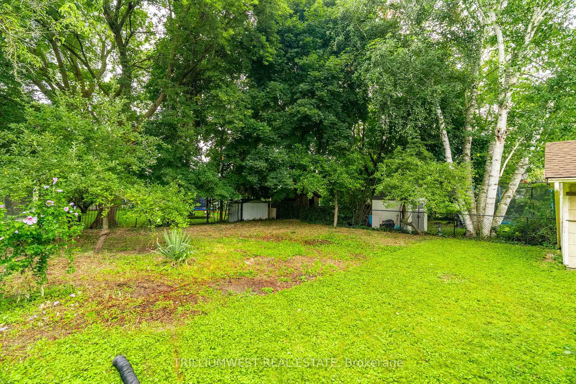 Photo 34 of 218 Alexandra Avenue, Waterloo — HOMEH