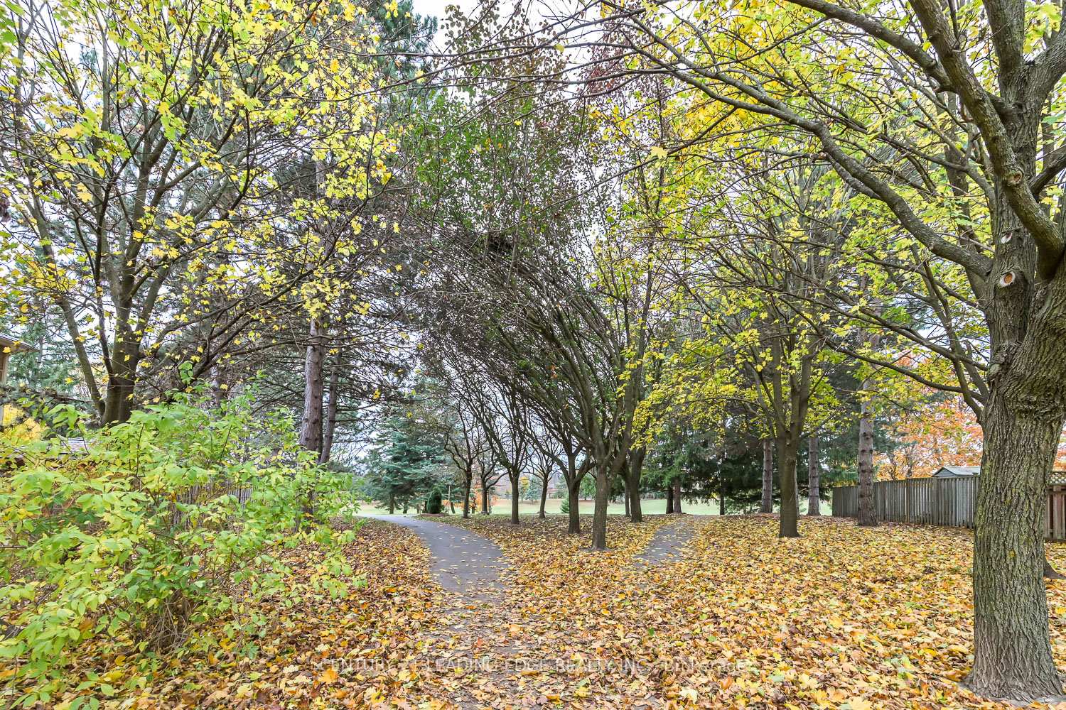 Photo 47 of 81 Mccarty Crescent, Markham, Markham Village — HOMEH